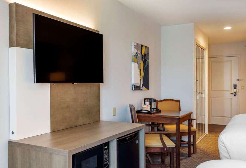 호텔 Comfort Inn & Suites East Greenbush   Albany