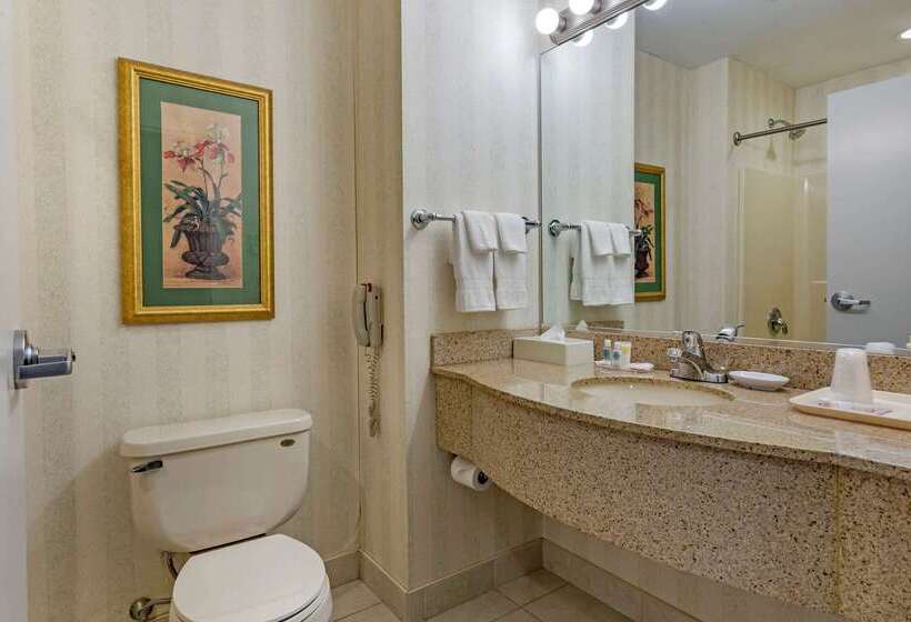 호텔 Comfort Inn & Suites East Greenbush   Albany