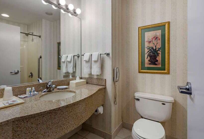 호텔 Comfort Inn & Suites East Greenbush   Albany