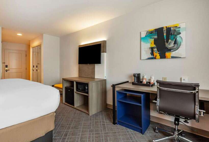 ホテル Comfort Inn & Suites East Greenbush   Albany