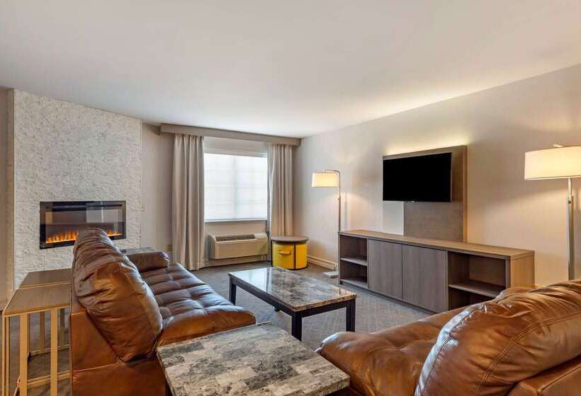 호텔 Comfort Inn & Suites East Greenbush   Albany