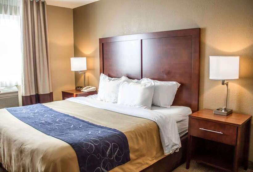 فندق Comfort Inn & Suites