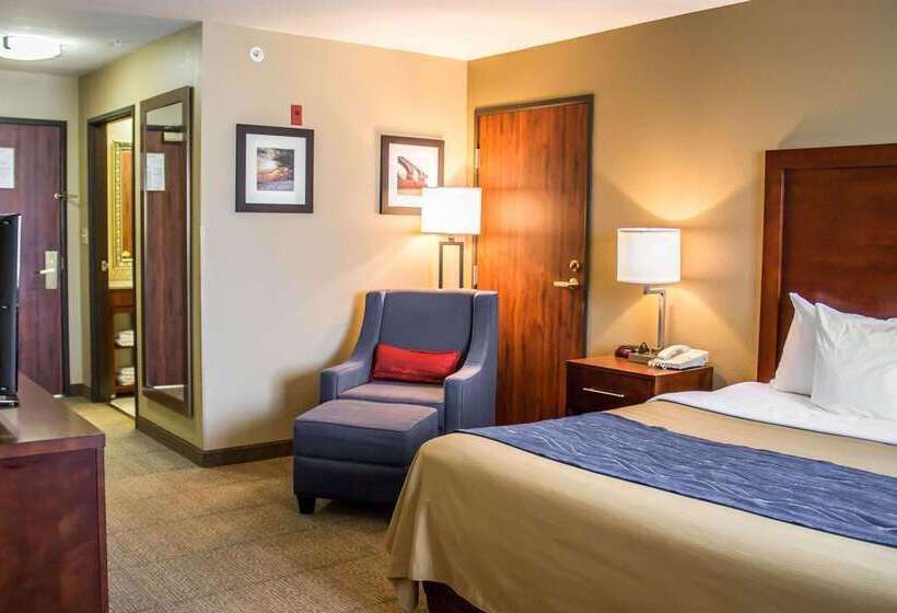 فندق Comfort Inn & Suites