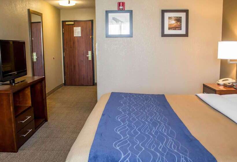 فندق Comfort Inn & Suites