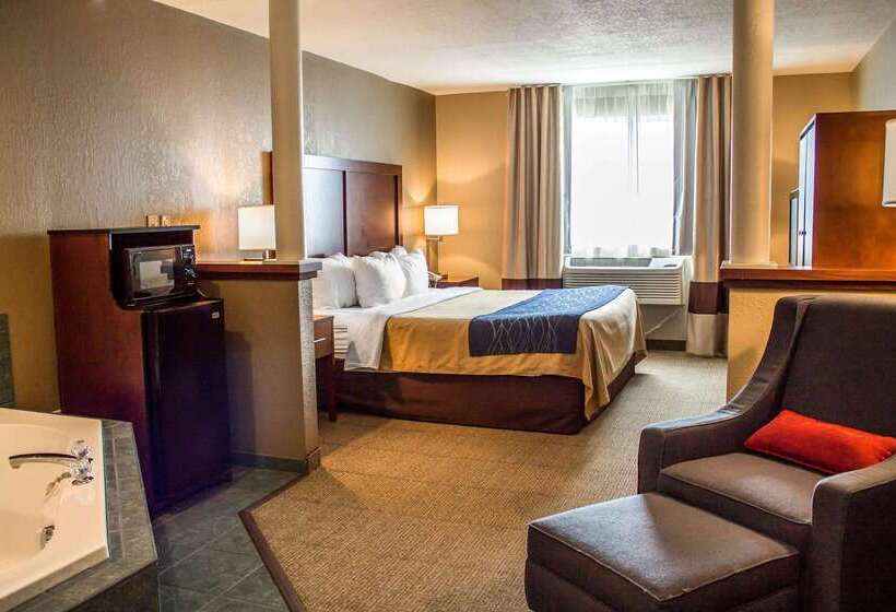 فندق Comfort Inn & Suites