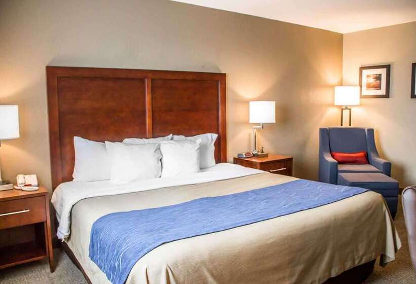 فندق Comfort Inn & Suites