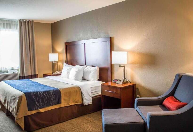 فندق Comfort Inn & Suites