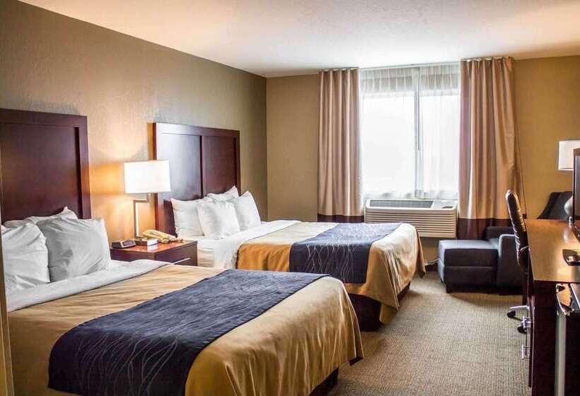 فندق Comfort Inn & Suites