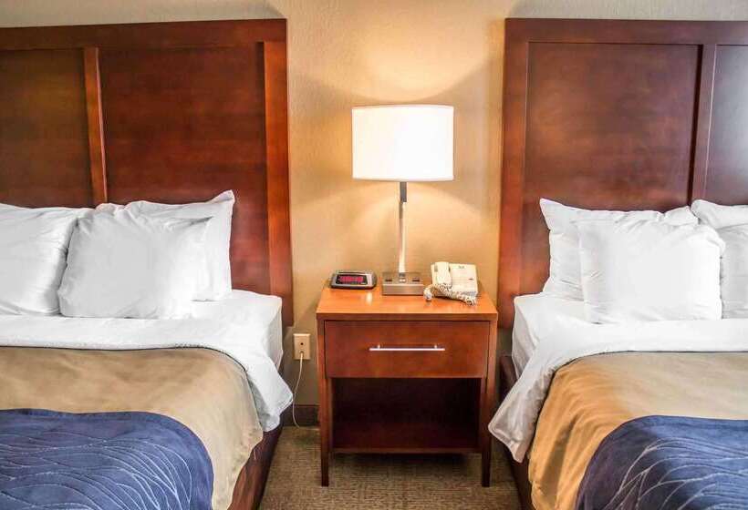 فندق Comfort Inn & Suites