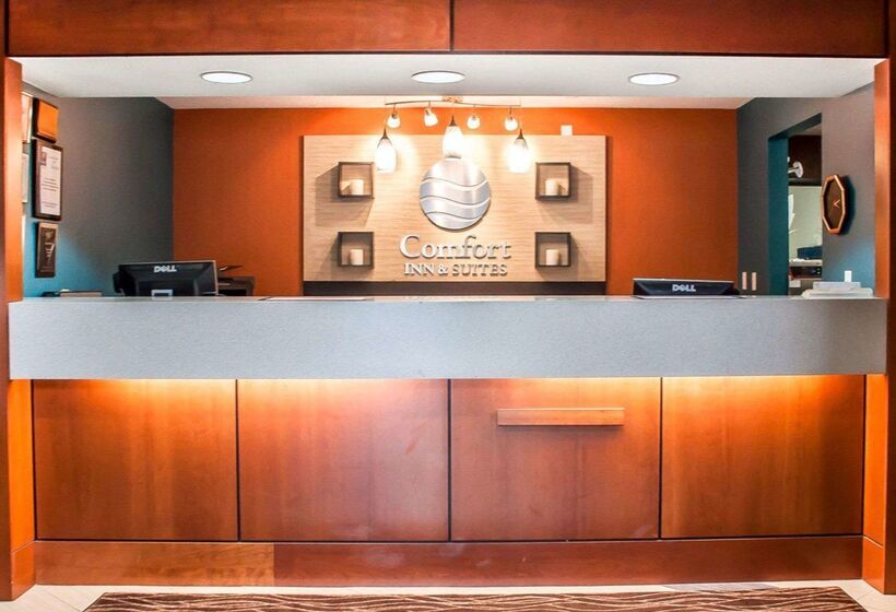 Отель Comfort Inn & Suites