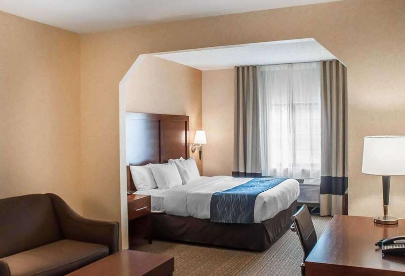 Отель Comfort Inn & Suites