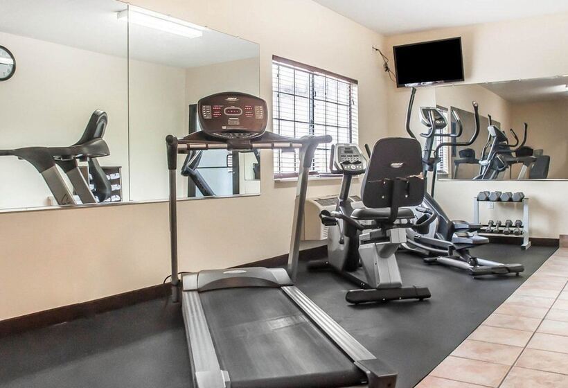 Отель Comfort Inn & Suites