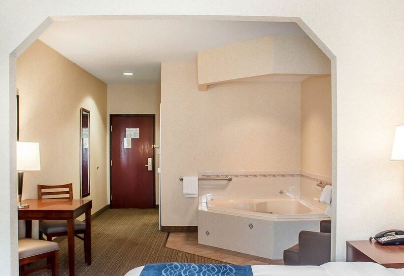 Отель Comfort Inn & Suites