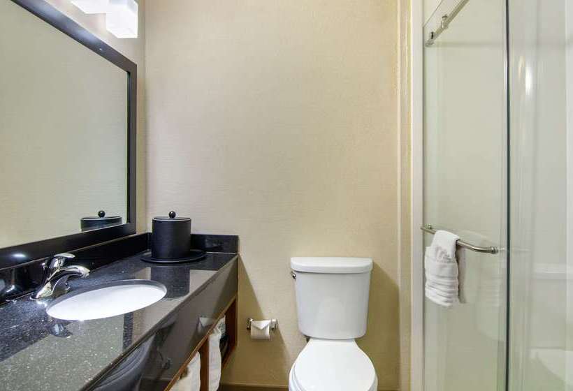 فندق Comfort Inn & Suites Kansas City   Northeast