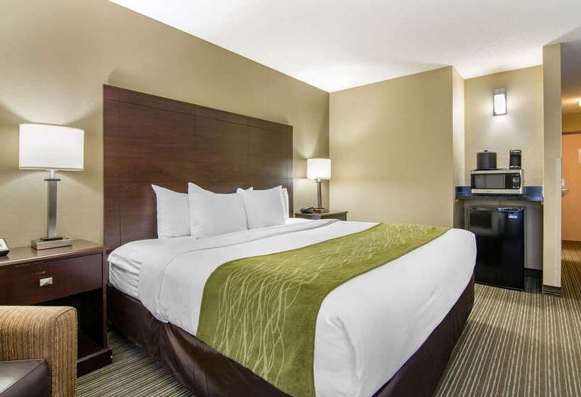 فندق Comfort Inn & Suites Kansas City   Northeast