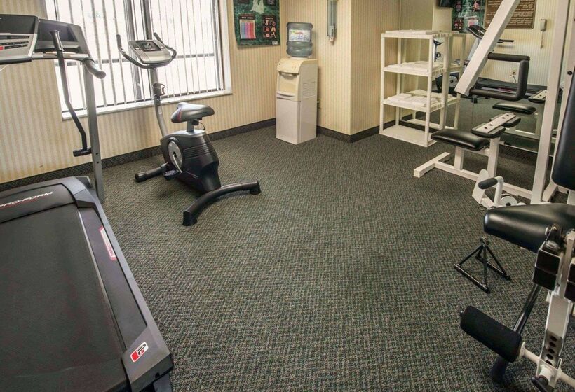 酒店 Comfort Inn & Suites