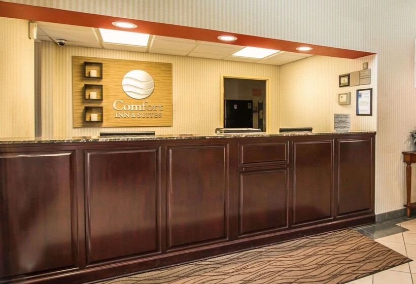 酒店 Comfort Inn & Suites