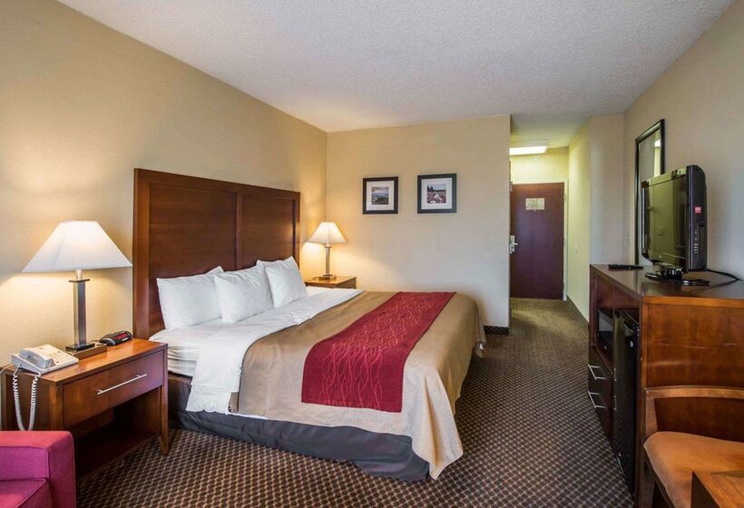 酒店 Comfort Inn & Suites