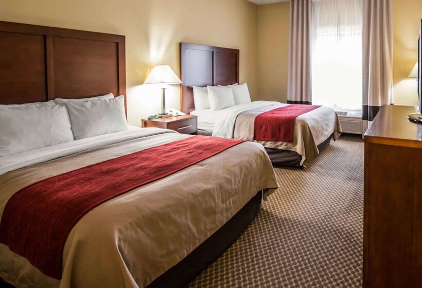 酒店 Comfort Inn & Suites