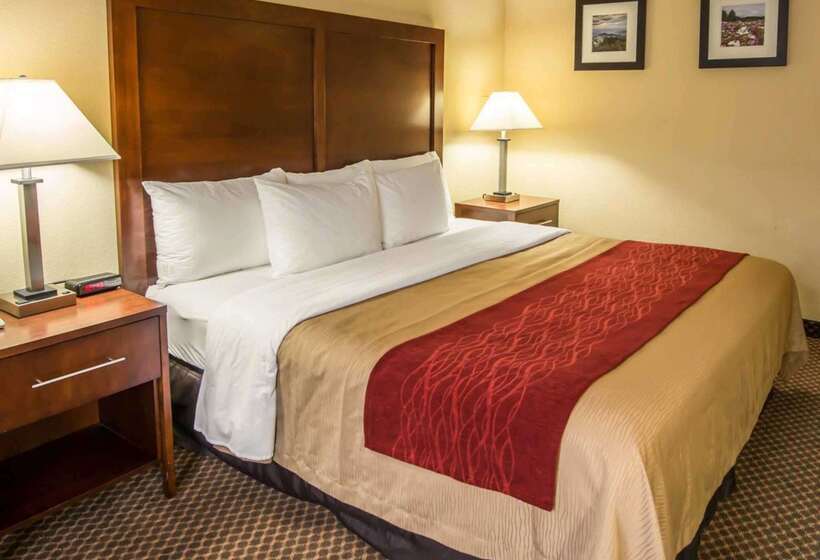 ホテル Comfort Inn & Suites