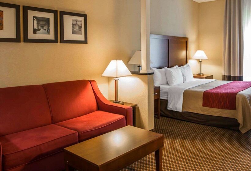 酒店 Comfort Inn & Suites