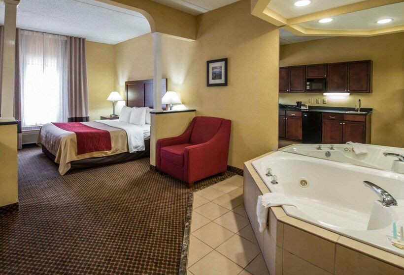 ホテル Comfort Inn & Suites