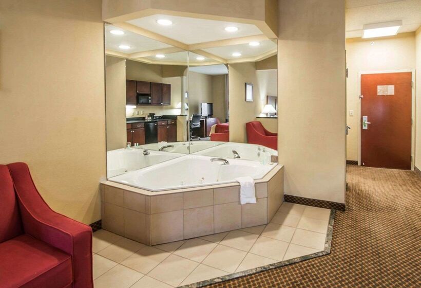 酒店 Comfort Inn & Suites