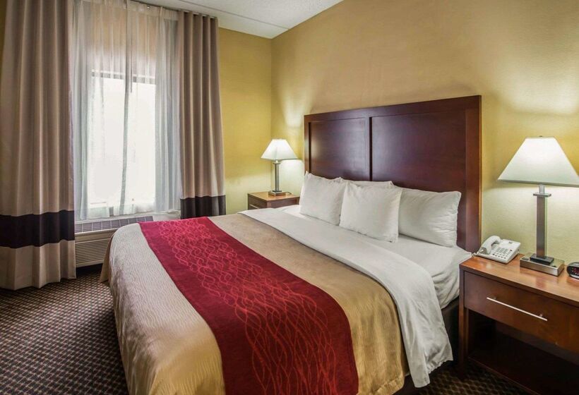 酒店 Comfort Inn & Suites