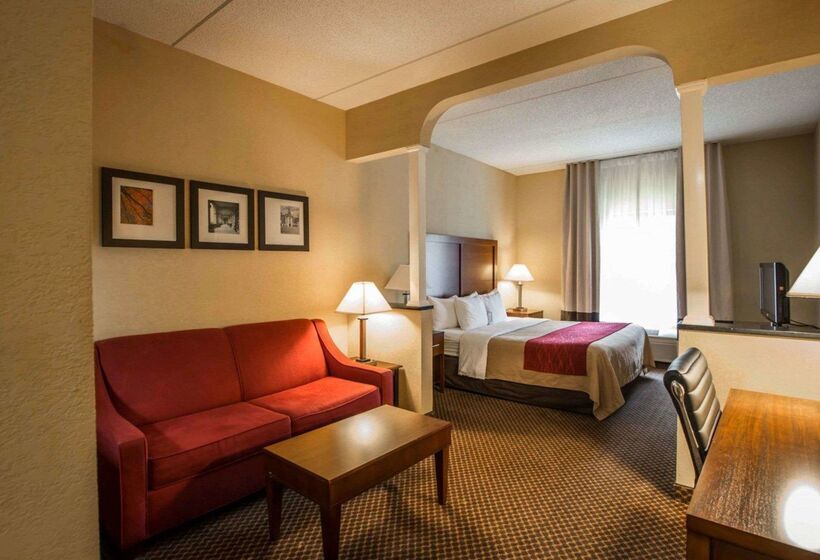 酒店 Comfort Inn & Suites