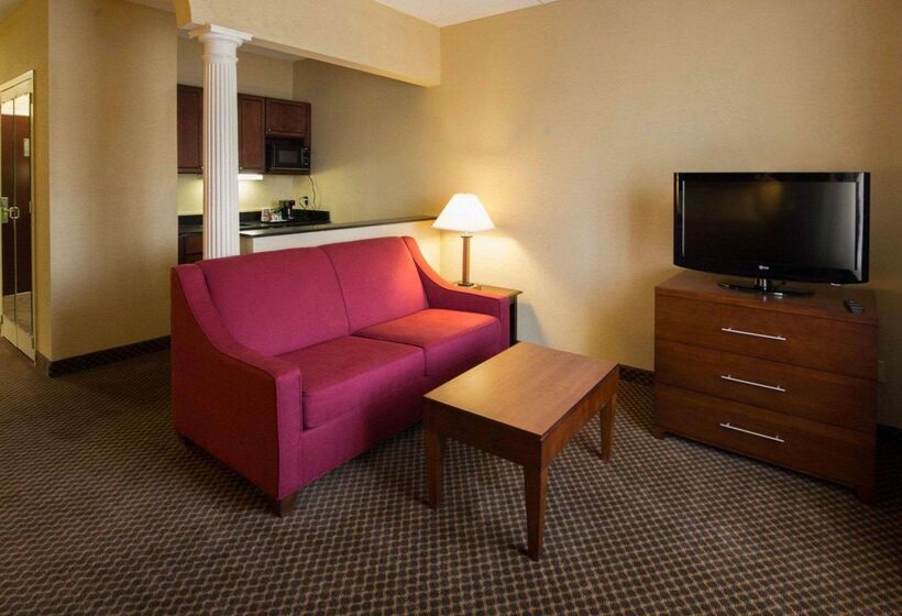 酒店 Comfort Inn & Suites