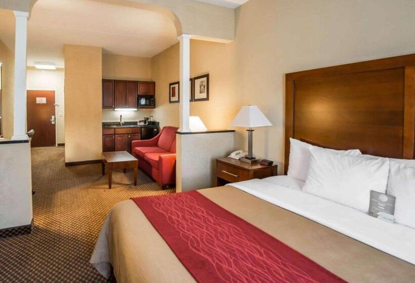 ホテル Comfort Inn & Suites