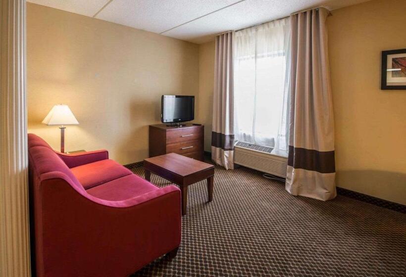 酒店 Comfort Inn & Suites