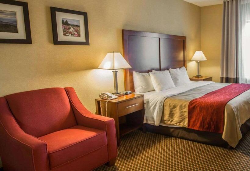 酒店 Comfort Inn & Suites