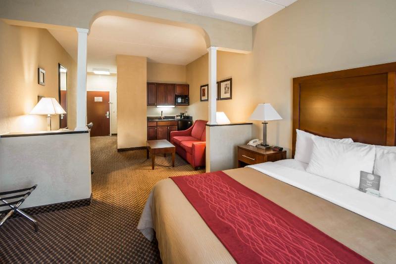 酒店 Comfort Inn & Suites
