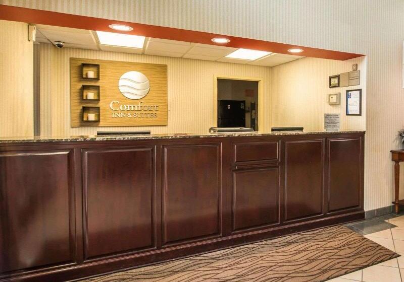 酒店 Comfort Inn & Suites