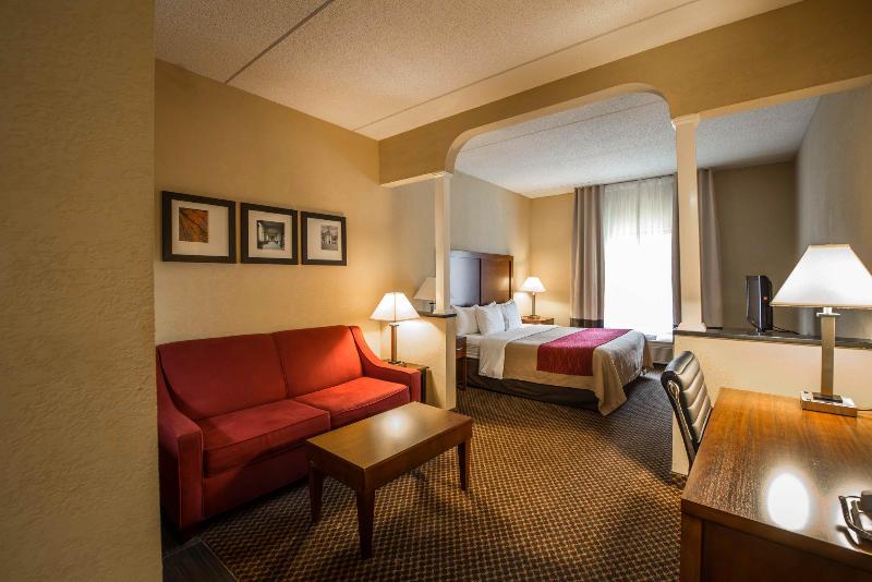 ホテル Comfort Inn & Suites