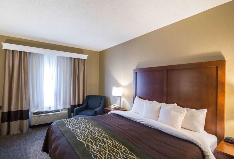 호텔 Comfort Inn & Suites