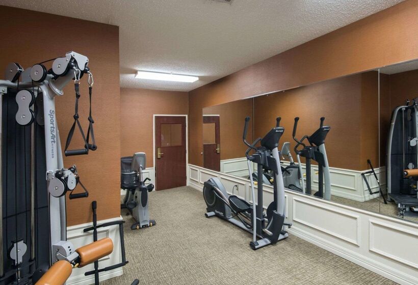 호텔 Comfort Inn & Suites