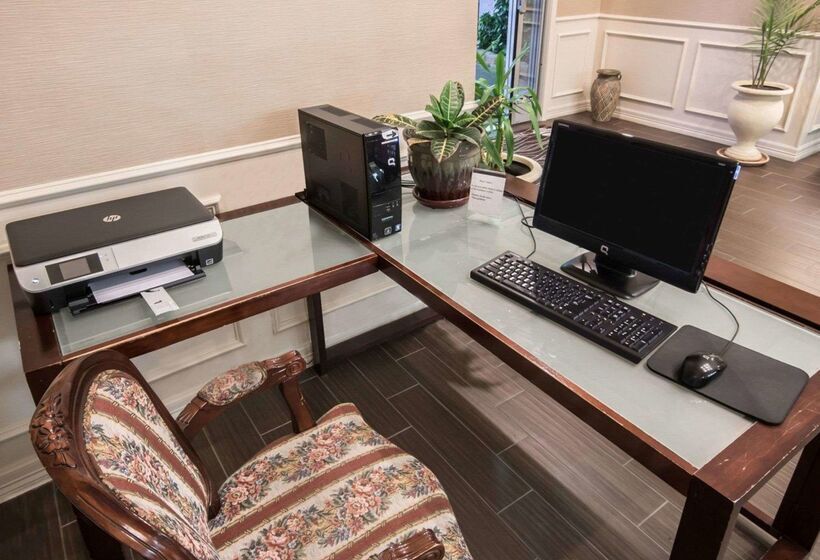 호텔 Comfort Inn & Suites