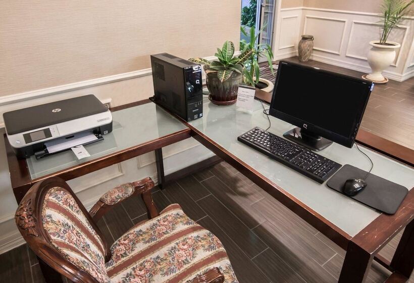 호텔 Comfort Inn & Suites