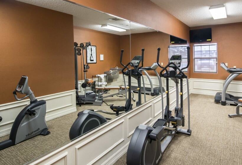 호텔 Comfort Inn & Suites