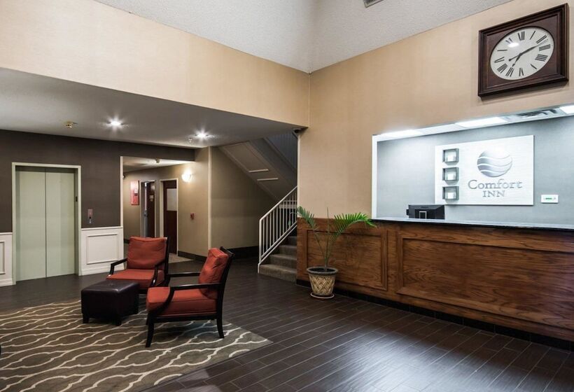 호텔 Comfort Inn & Suites