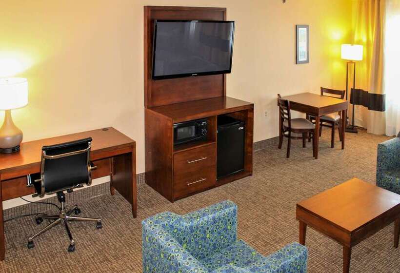 فندق Comfort Inn & Suites St Louis   Chesterfield
