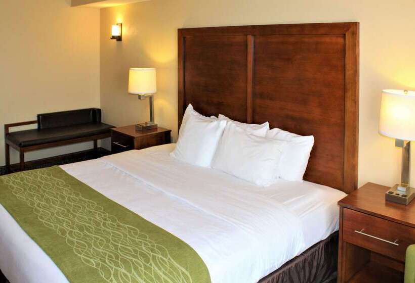 فندق Comfort Inn & Suites St Louis   Chesterfield