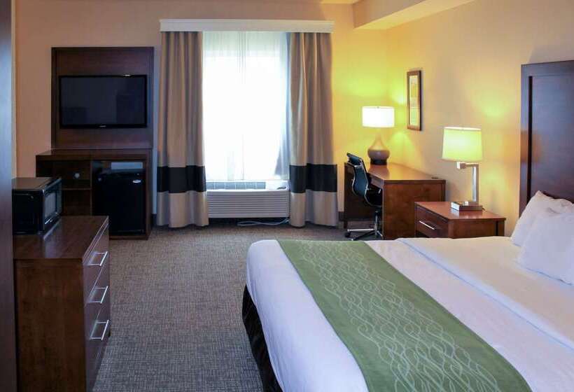 فندق Comfort Inn & Suites St Louis   Chesterfield