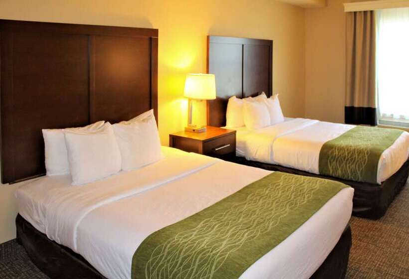 فندق Comfort Inn & Suites St Louis   Chesterfield
