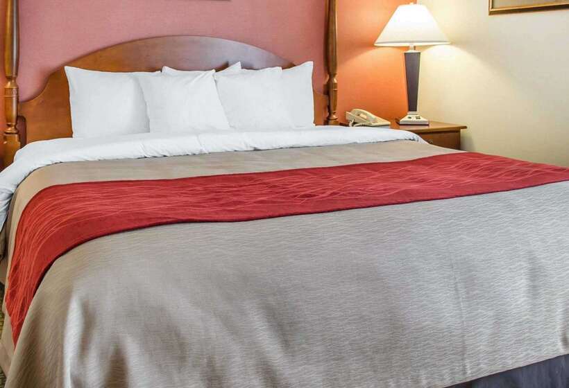 酒店 Comfort Inn & Suites