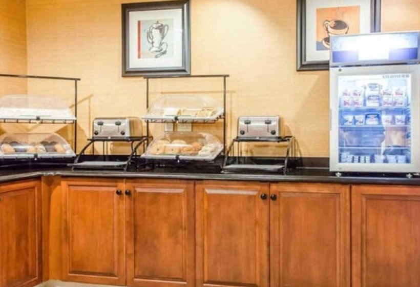 酒店 Comfort Inn & Suites