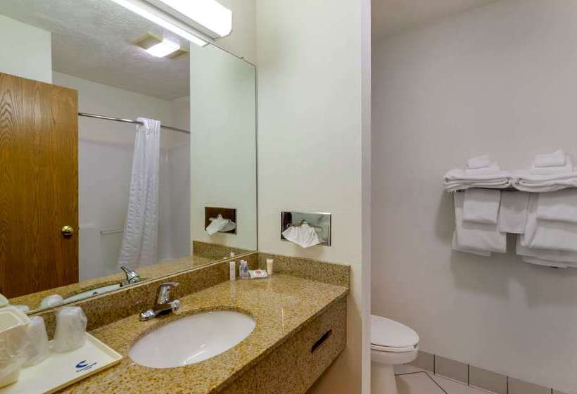 호텔 Comfort Inn Atkinsmarion I81