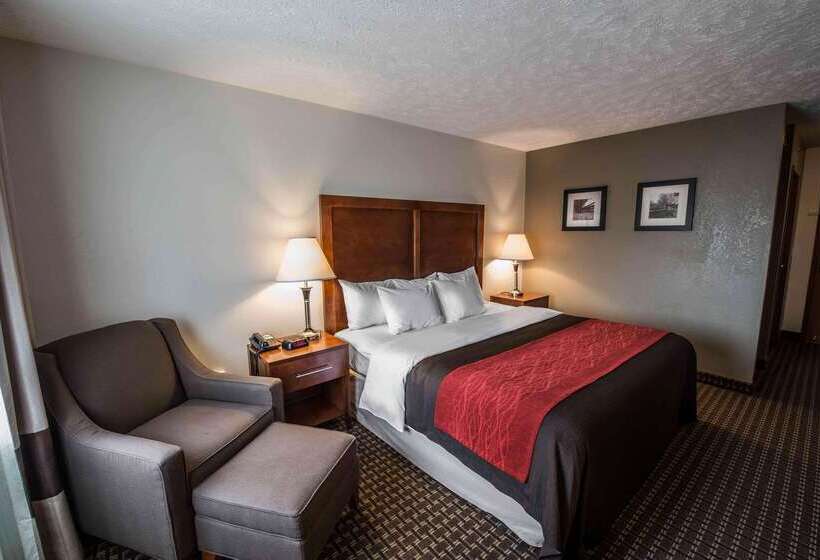 호텔 Comfort Inn Atkinsmarion I81